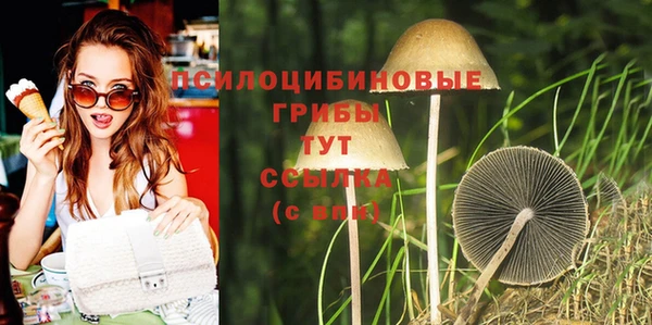 спиды Беломорск