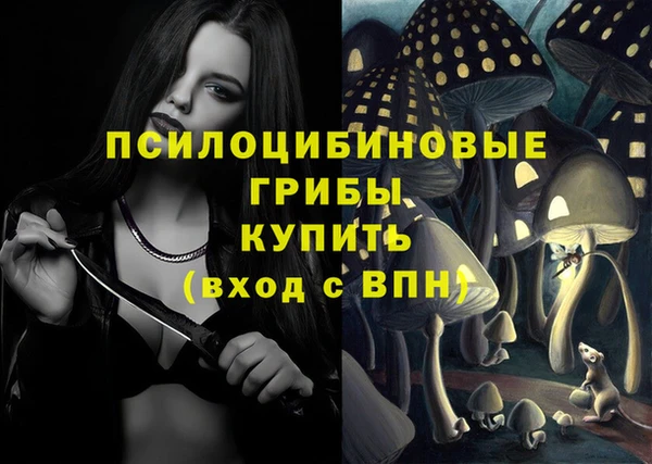 спиды Беломорск