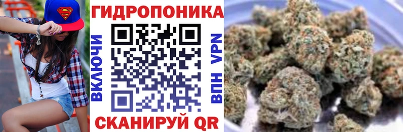 как найти   Верхотурье  Шишки марихуана марихуана 